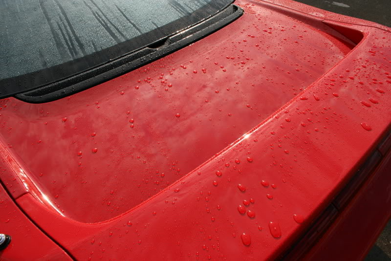 Name:  IMG_3943.jpg
Views: 102
Size:  91.3 KB