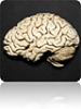 Need answer about changing wheels-brainy96.jpg