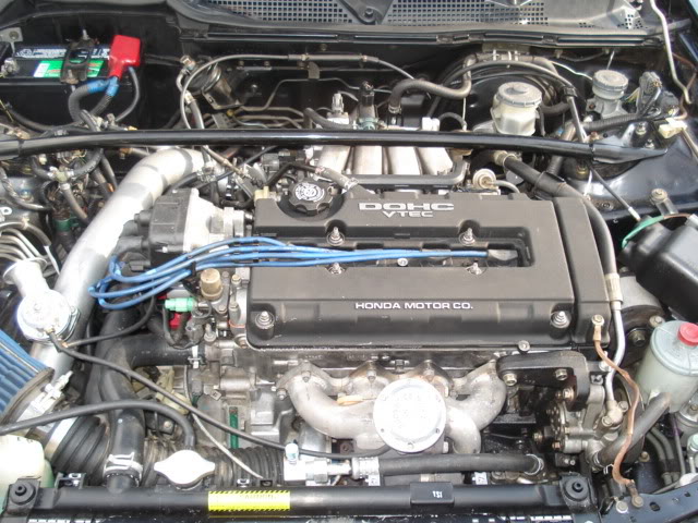 Name:  DSC03159.jpg
Views: 473
Size:  87.7 KB