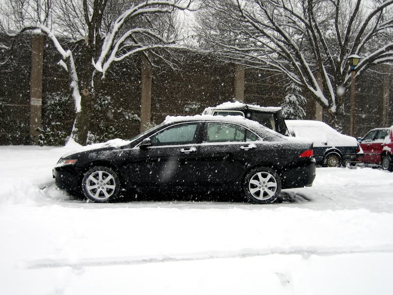 Name:  IMG_7269MOD.jpg
Views: 95
Size:  140.9 KB