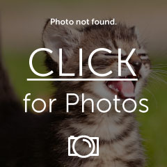 Name:  p73stamp.jpg
Views: 17
Size:  14.0 KB