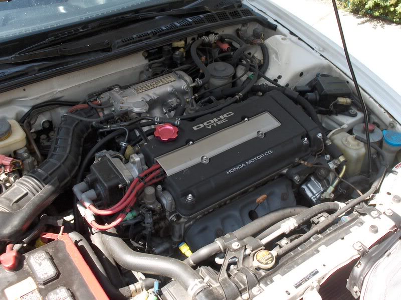 Name:  HPIM0800.jpg
Views: 24
Size:  91.8 KB