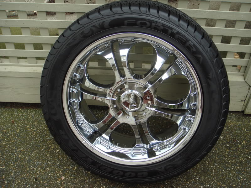 Name:  rims2003.jpg
Views: 31
Size:  126.3 KB