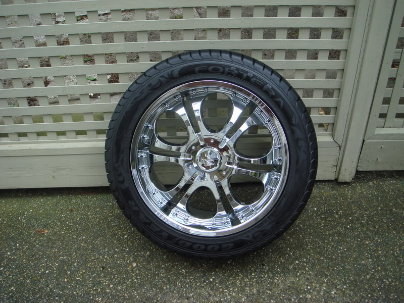 Name:  rims2001.jpg
Views: 31
Size:  132.9 KB