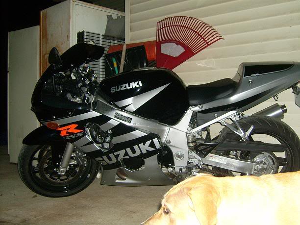 Name:  dagsandmyike009.jpg
Views: 20
Size:  56.1 KB