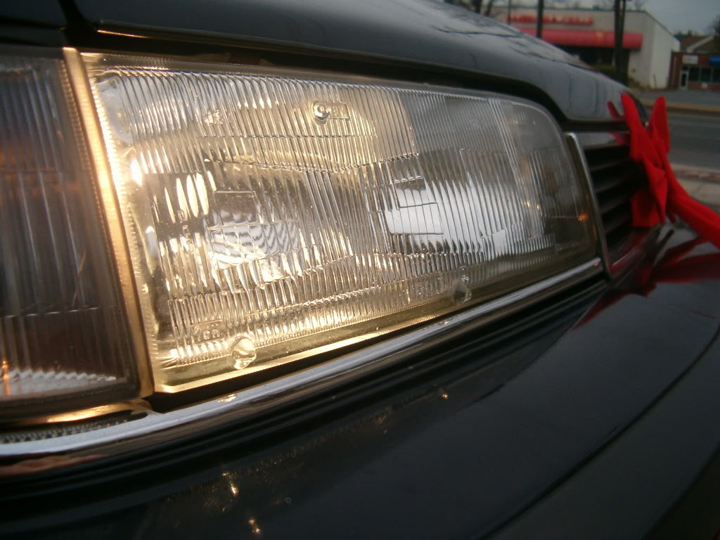 Name:  HPIM3609-1.jpg
Views: 84
Size:  126.3 KB